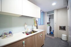 The Chuan (D19), Condominium #486759561